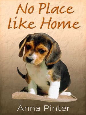 cover image of No Place like Home